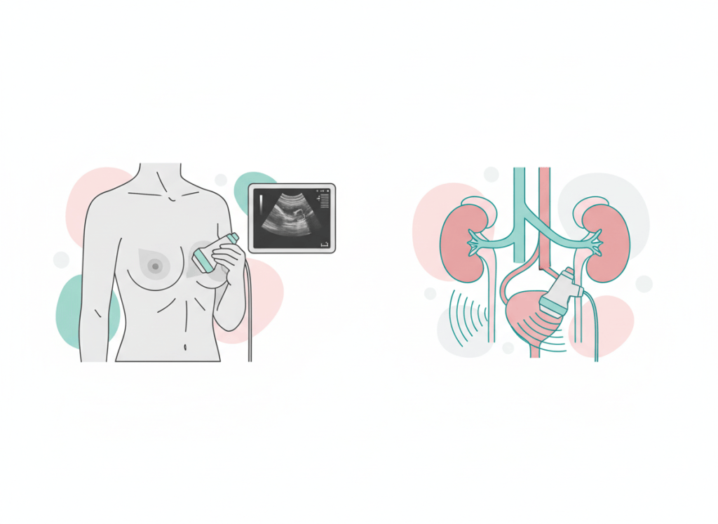 Ilustração de ultrassom de mama e de rins e vias urinárias
