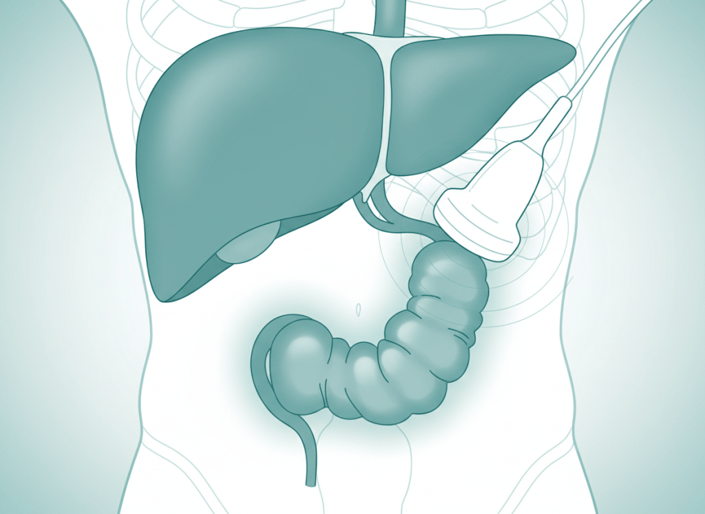 Colecistite aguda no ultrassom: sinais, Tokyo Guidelines 2018 e laudo