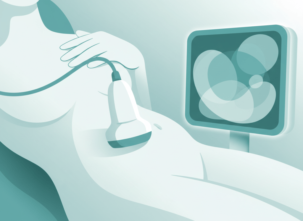 Ilustração em tons de verde-azulado e branco de um transdutor de ultrassom sobre o abdome e uma tela com formas arredondadas, com clima acolhedor